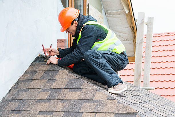 Best Roof Gutter Cleaning  in Cross City, FL